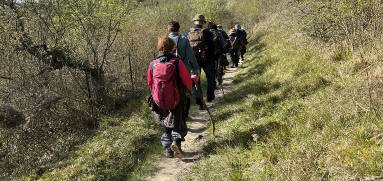 IMG_4929-1711989519149 pour bandeau